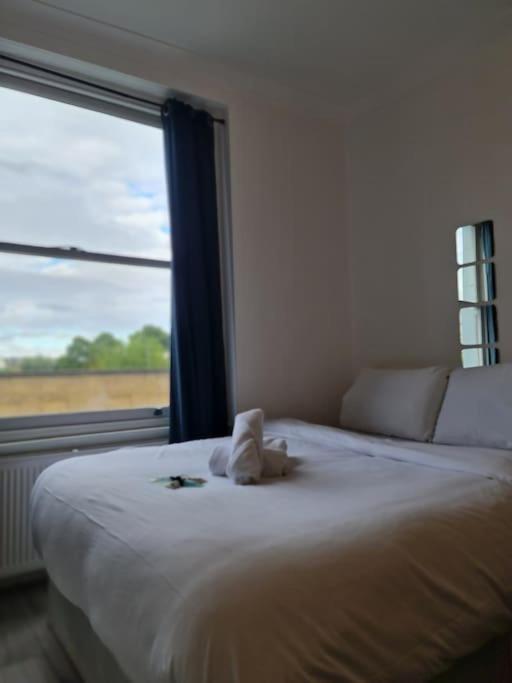 Chic & Modern Studio In Caledonian Rd London Exteriör bild